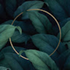 Meet your Posher, Maggie